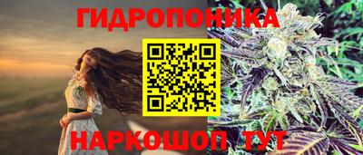 прущая мука Будённовск