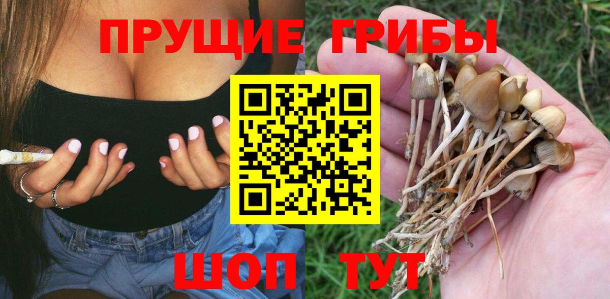 наркошоп  Псилоцибиновые грибы мицелий  Вход с VPN  Мегион 